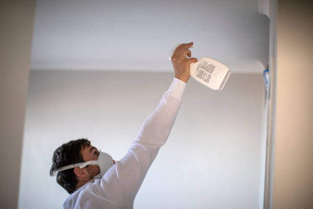 Office Mold Removal Services in Briar, TX