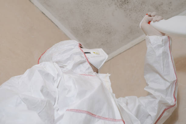 Best Residential Mold Removal  in Briar, TX