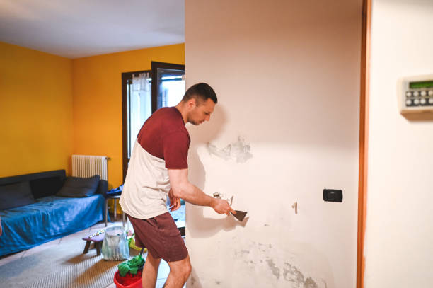 Best Attic Mold Removal  in Briar, TX
